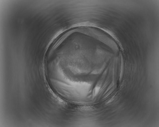 X0000067510998200604211746