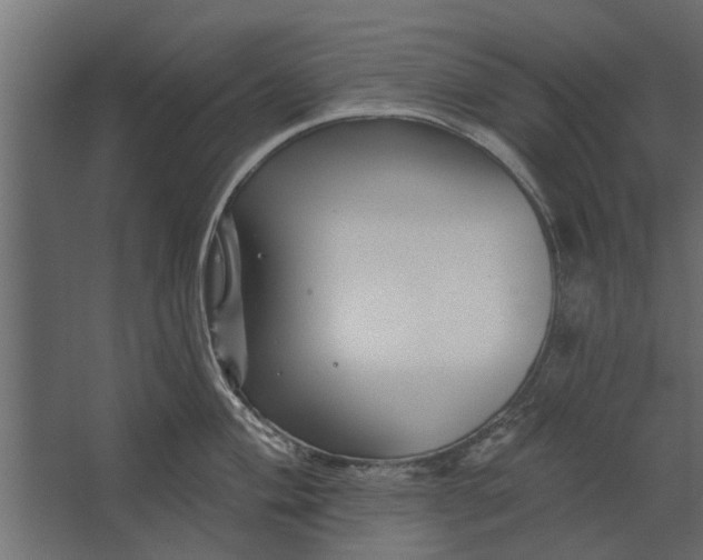 X0000067511004200604211746