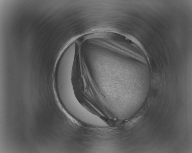 X0000067511005200604211746