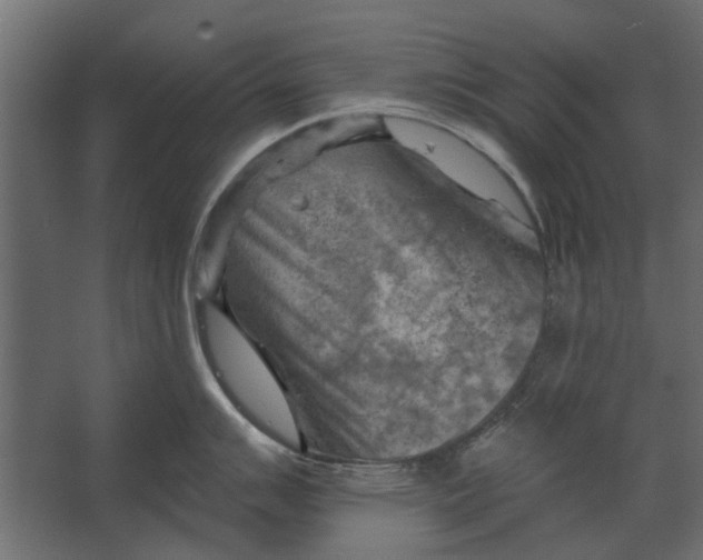 X0000067511007200604211746