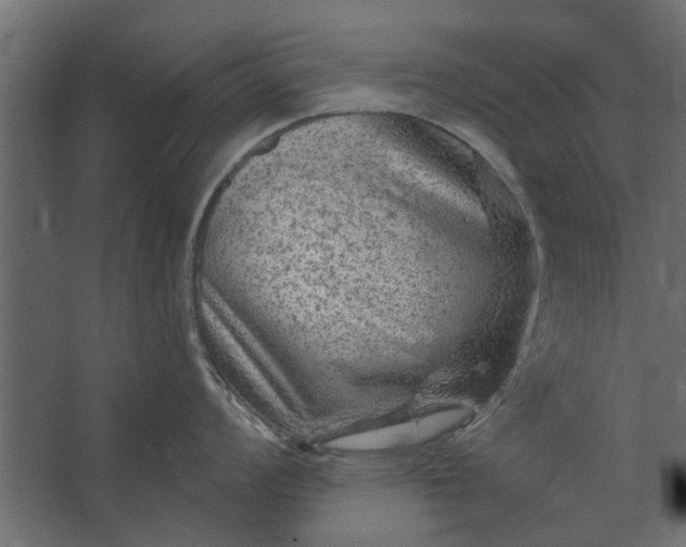 X0000067511008200604211746