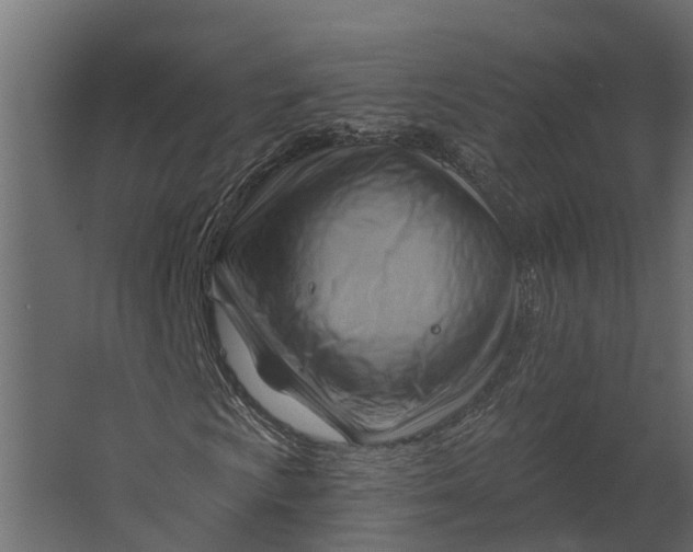 X0000067511009200604211745