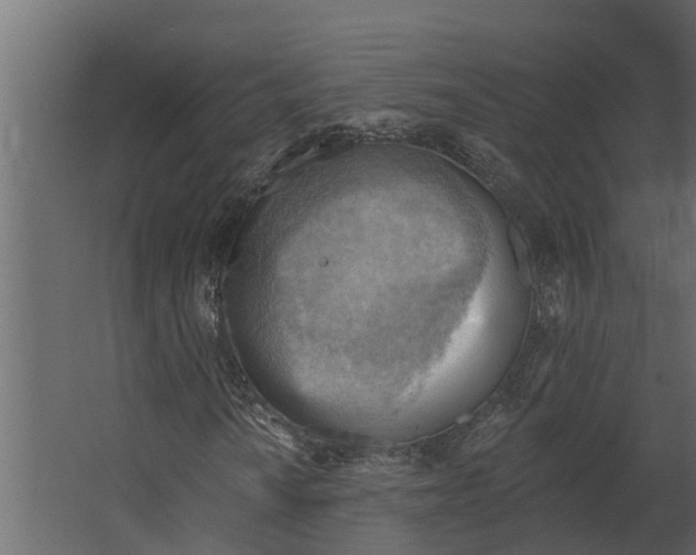 X0000067511010200604211745