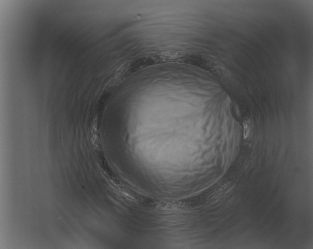 X0000067511011200604211745