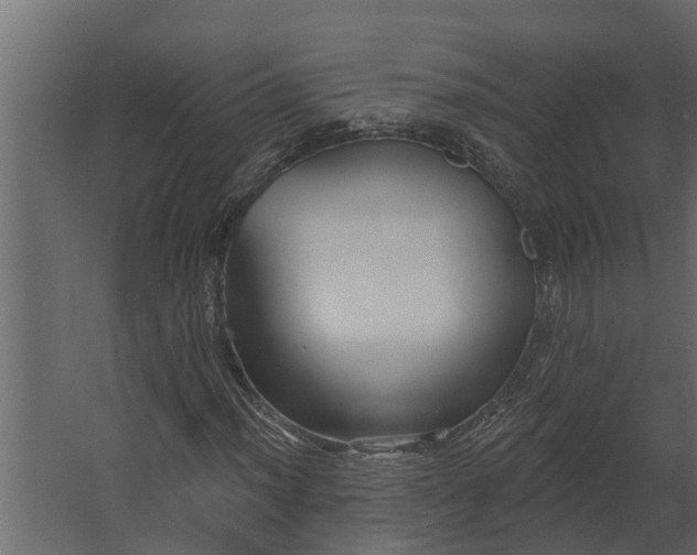 X0000067511012200604211745