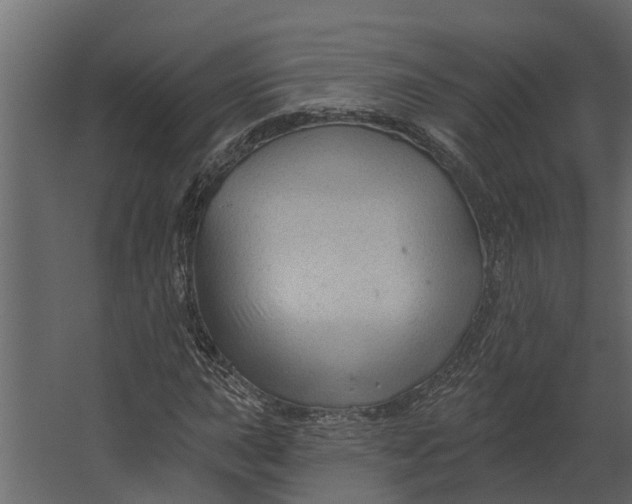 X0000067511015200604211745