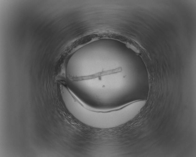 X0000067511016200604211745