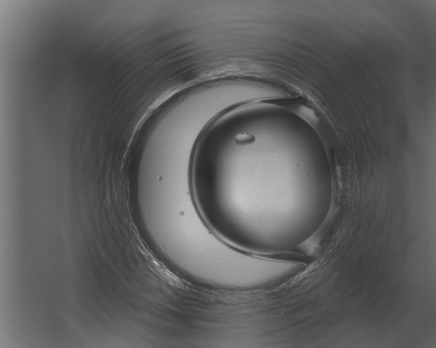 X0000067511018200604211745