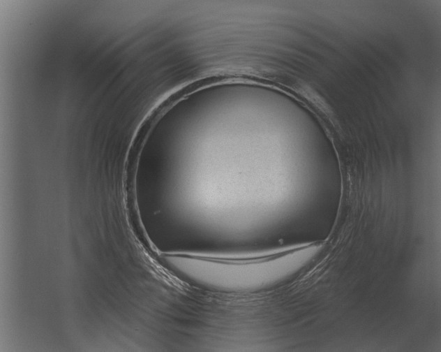 X0000067511020200604211745