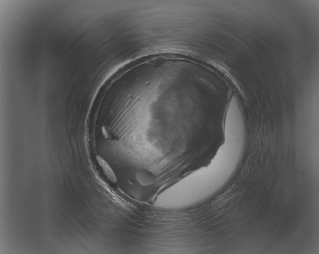 X0000067511024200604211745