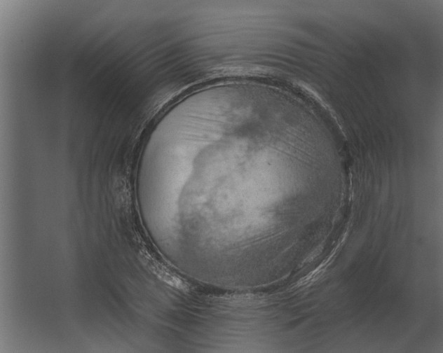 X0000067511025200604211745