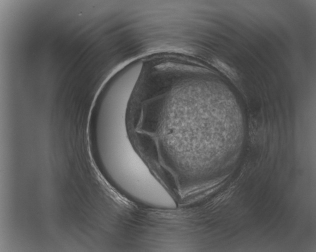 X0000067511028200604211745