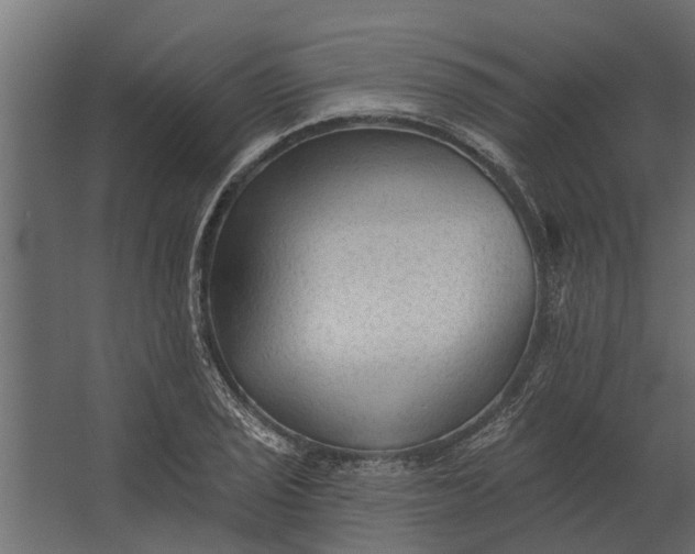 X0000067511029200604211745