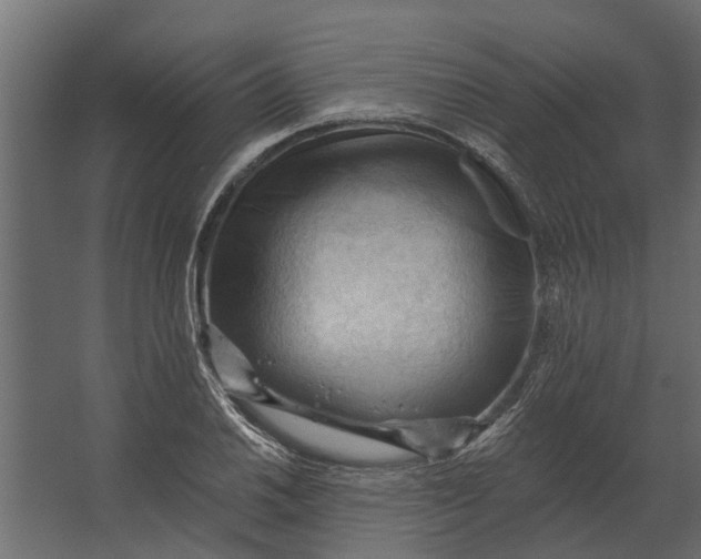 X0000067511030200604211745