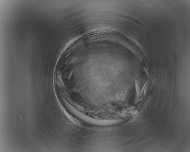 X0000067511034200604211745