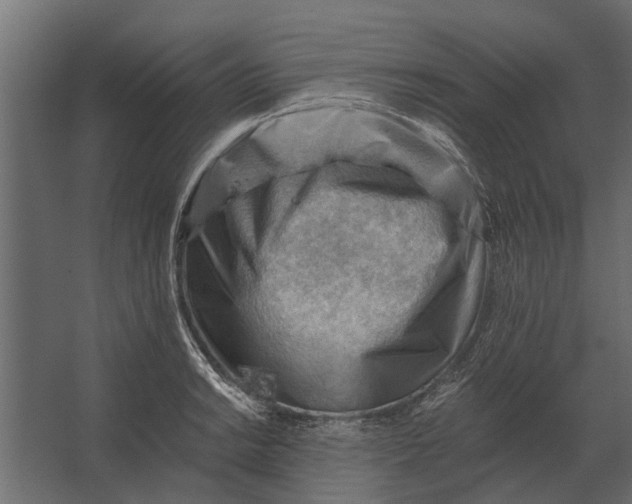 X0000067511038200604211746