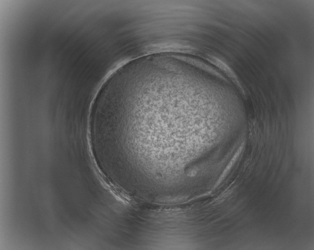 X0000067511043200604211746