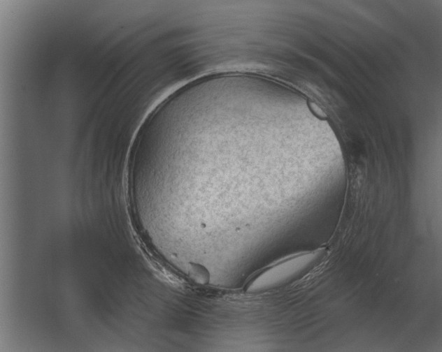 X0000067511044200604211746