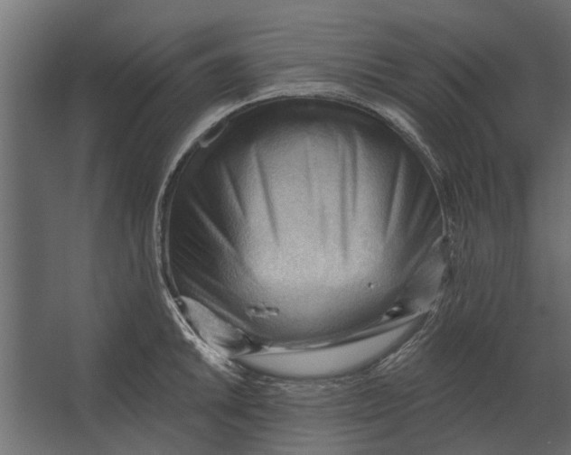 X0000067511046200604211746