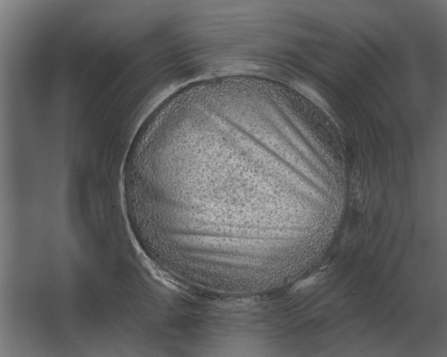 X0000067511047200604211746