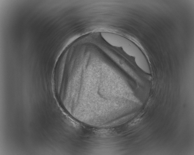 X0000067511048200604211746