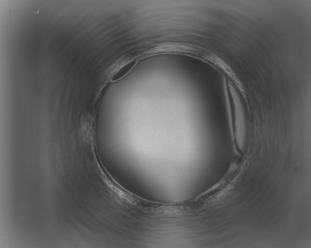 X0000067511049200604211746