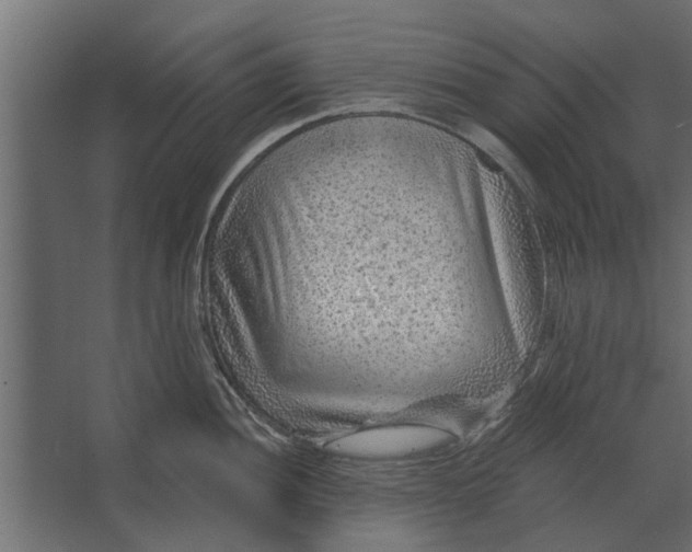 X0000067511052200604211746