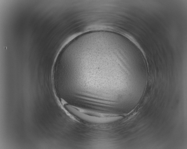 X0000067511053200604211746