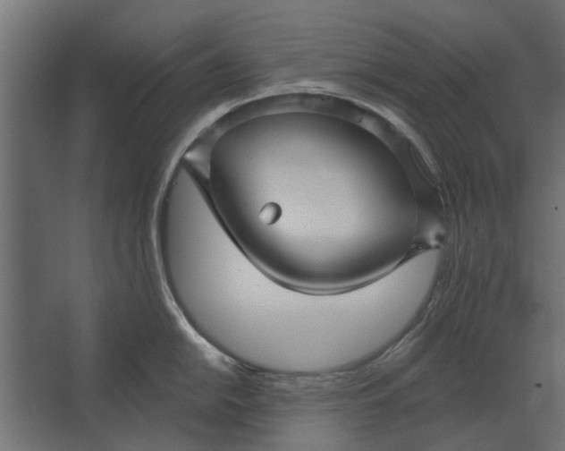 X0000067511054200604211746