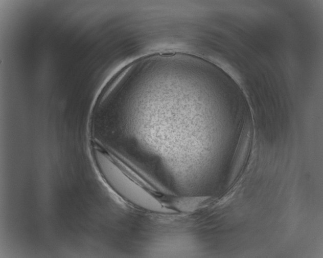 X0000067511056200604211746