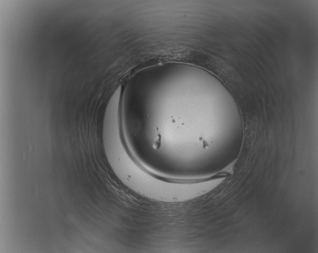 X0000067511058200604211745