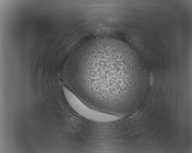 X0000067511059200604211745