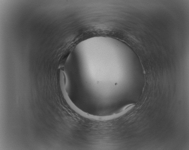 X0000067511061200604211745