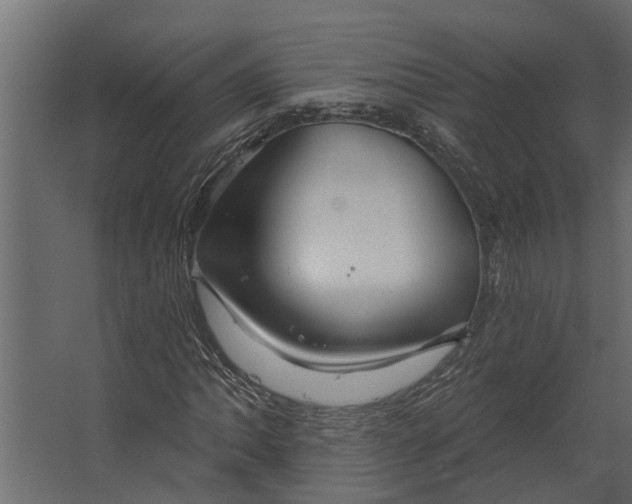 X0000067511062200604211745