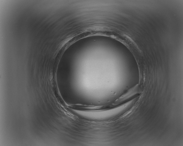 X0000067511065200604211745