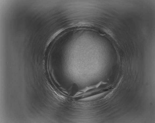 X0000067511066200604211745