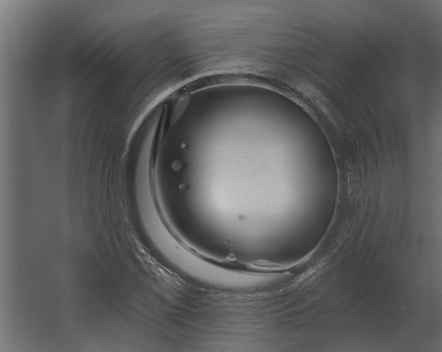 X0000067511069200604211745