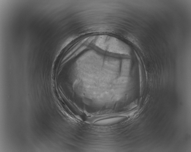 X0000067511071200604211745