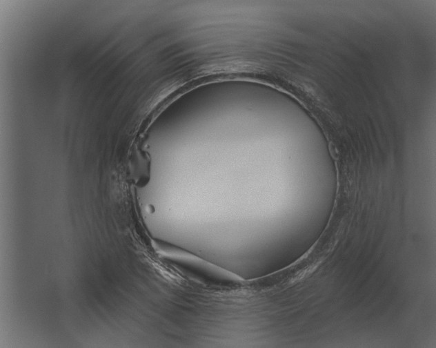 X0000067511073200604211745