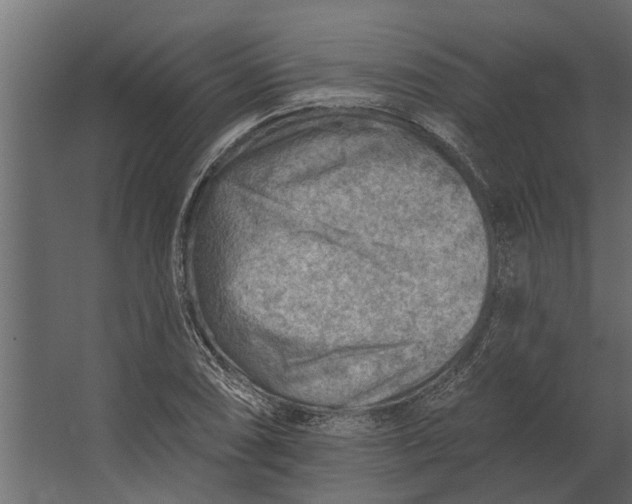 X0000067511074200604211745