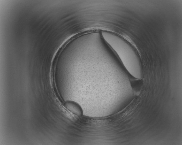 X0000067511076200604211745