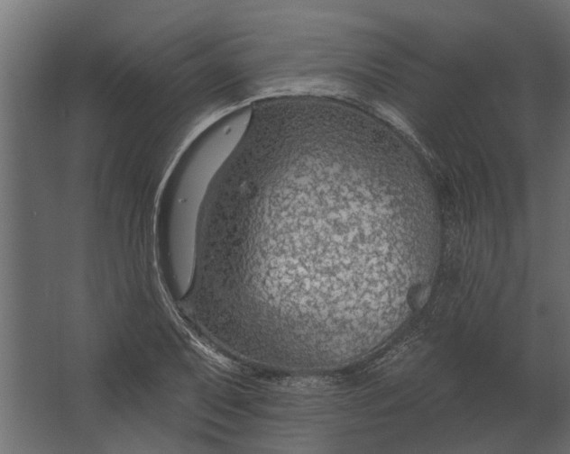 X0000067511079200604211745