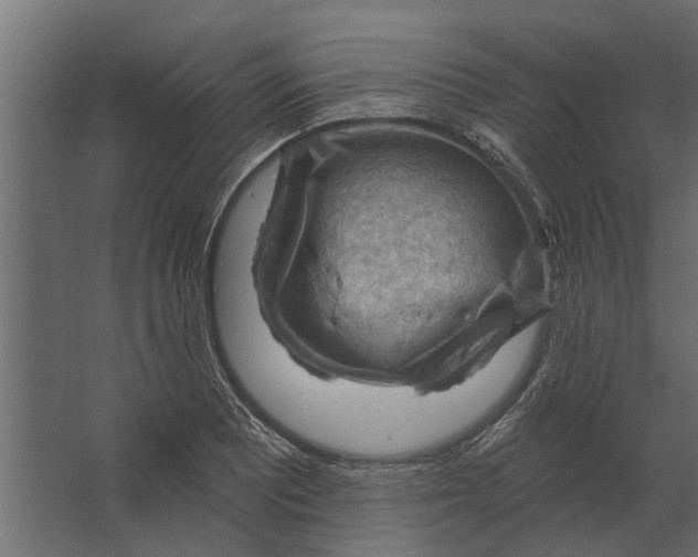 X0000067511081200604211745