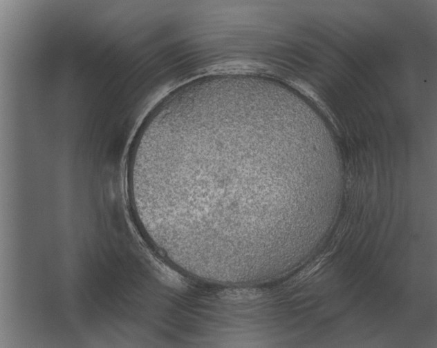 X0000067511083200604211745