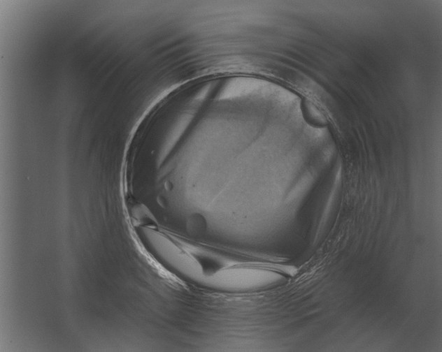 X0000067511084200604211745