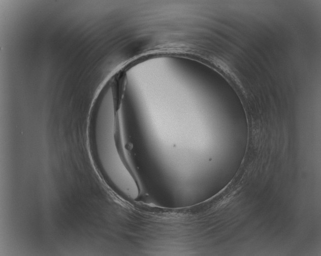 X0000067511085200604211745