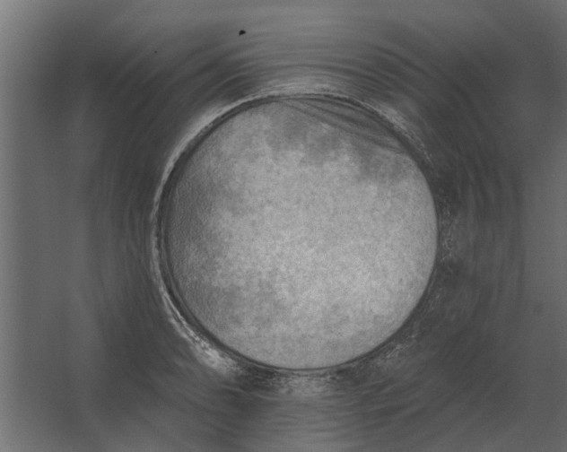 X0000067511086200604211745