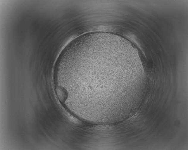 X0000067511091200604211744