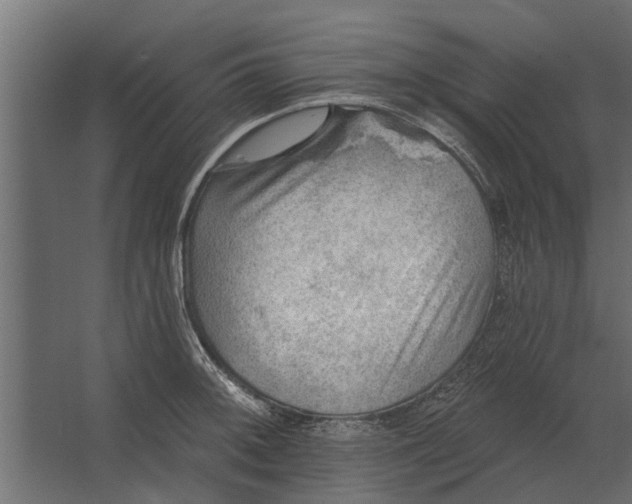 X0000067511092200604211744