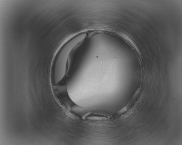 X0000067511093200604211744